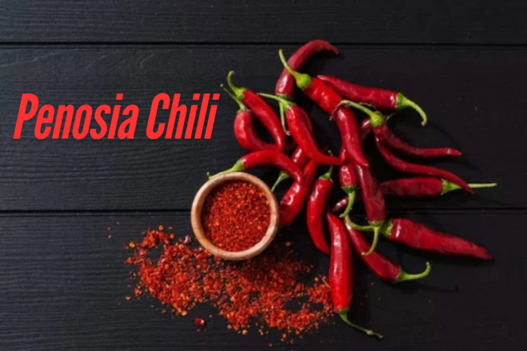 Penosia Chili