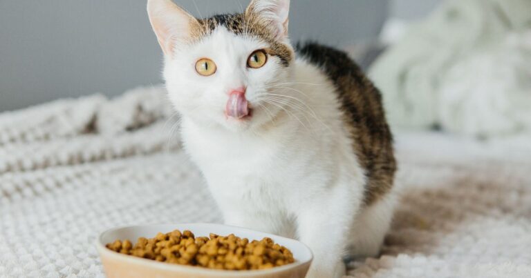 Tender Vittles